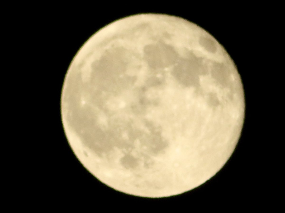 「今宵の月🌕」(ころころ🐼継承)

9/8夜空には最高級のコーン🌽ムーンが浮かんでいます👏
満月と人の体調は深い結びがあり満月の頃はエネルギーがピークに達し血液の巡りが良くなり栄養や酸素が体内を巡り活動も活性化して健康と月の動きは関係性があります

2025.09.08PM11:00埼玉県某所にて撮影