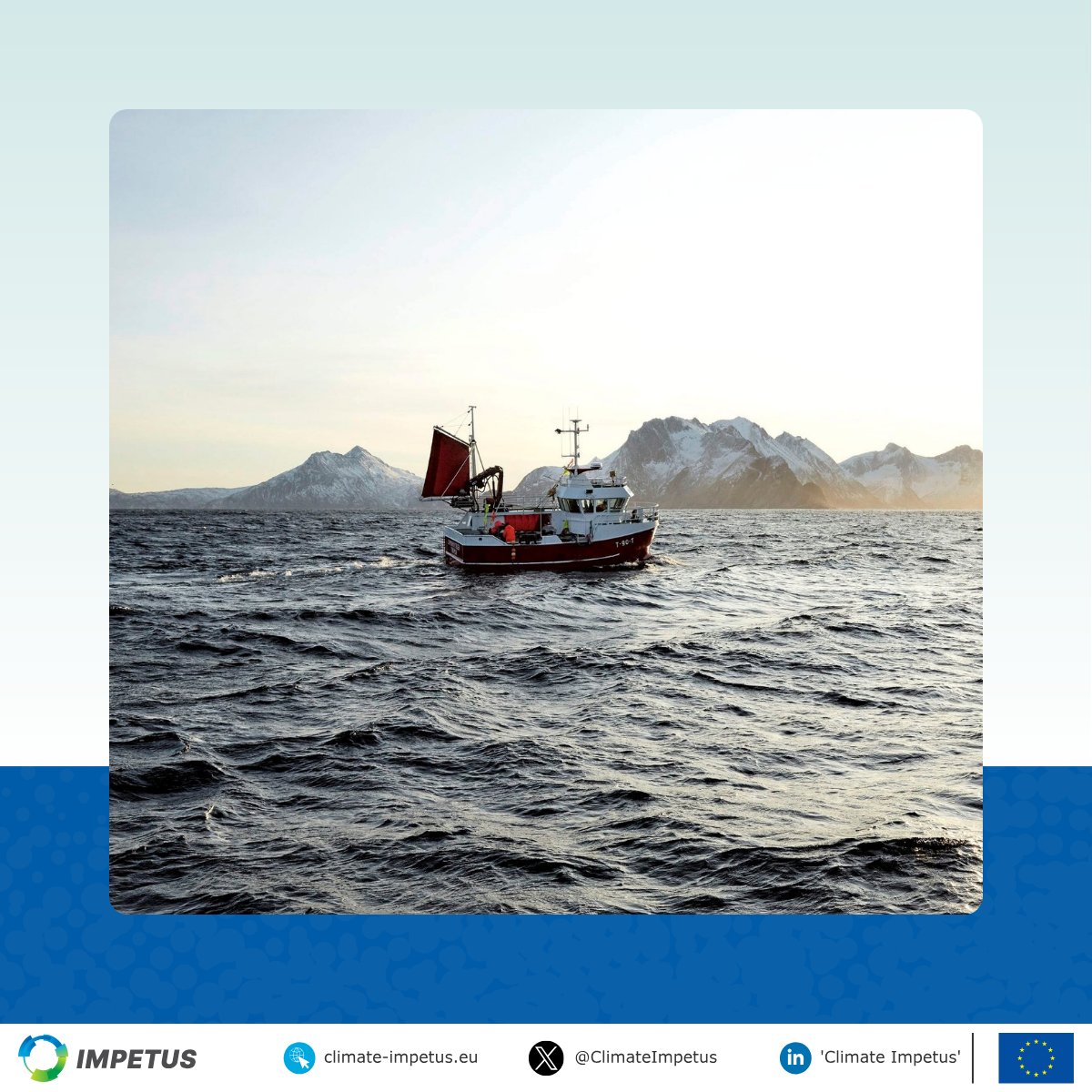 Climate Impetus tweet media