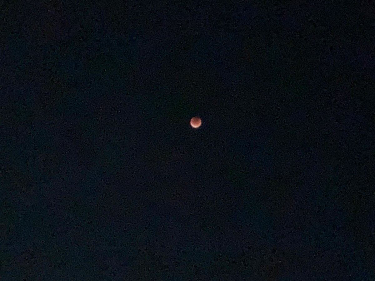皆既月食見ました！午前2：30頃。まさにブラッドムーン。赤くて神秘的🌕