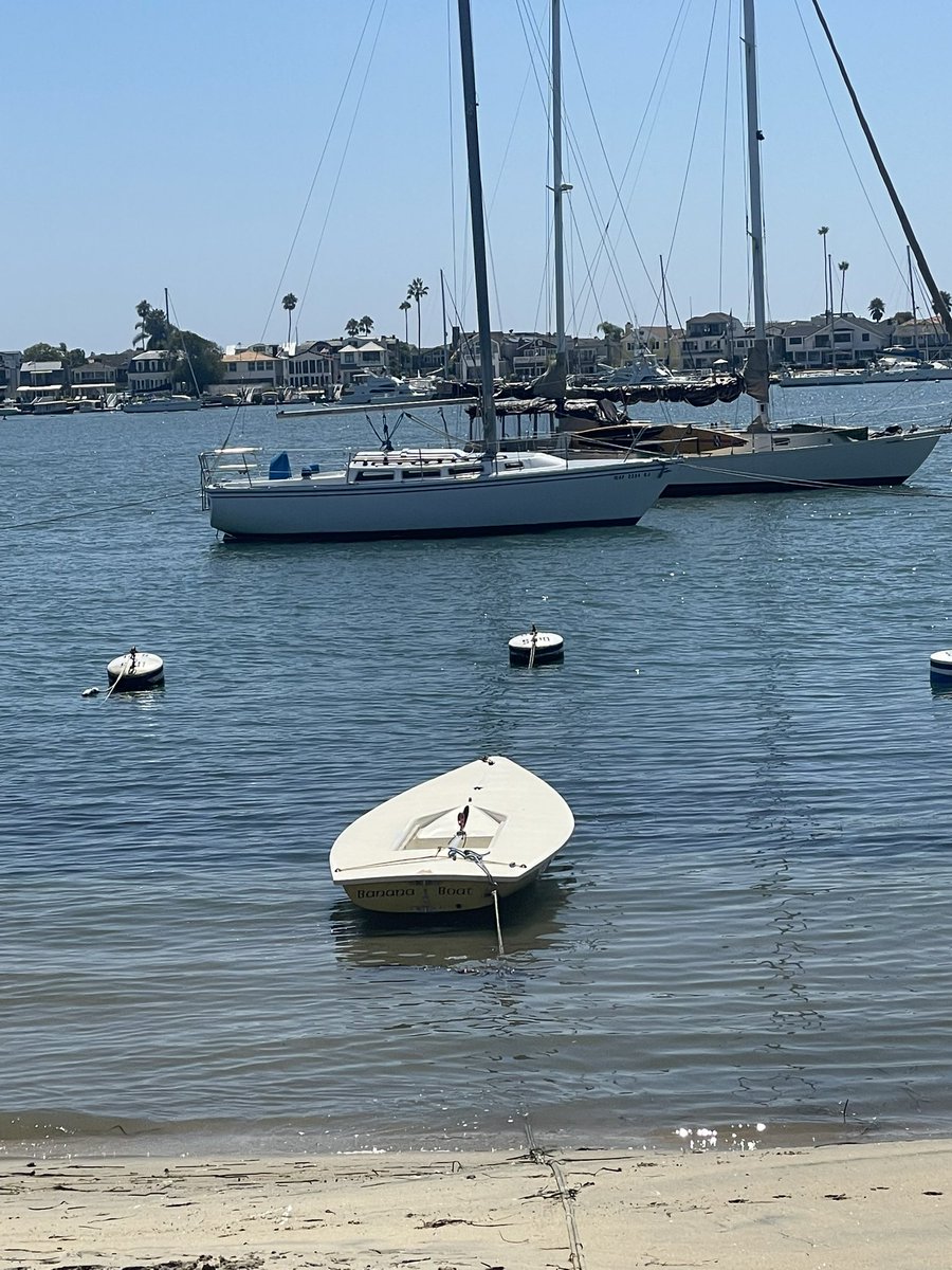 postedguy's tweet image. Anita max wynn