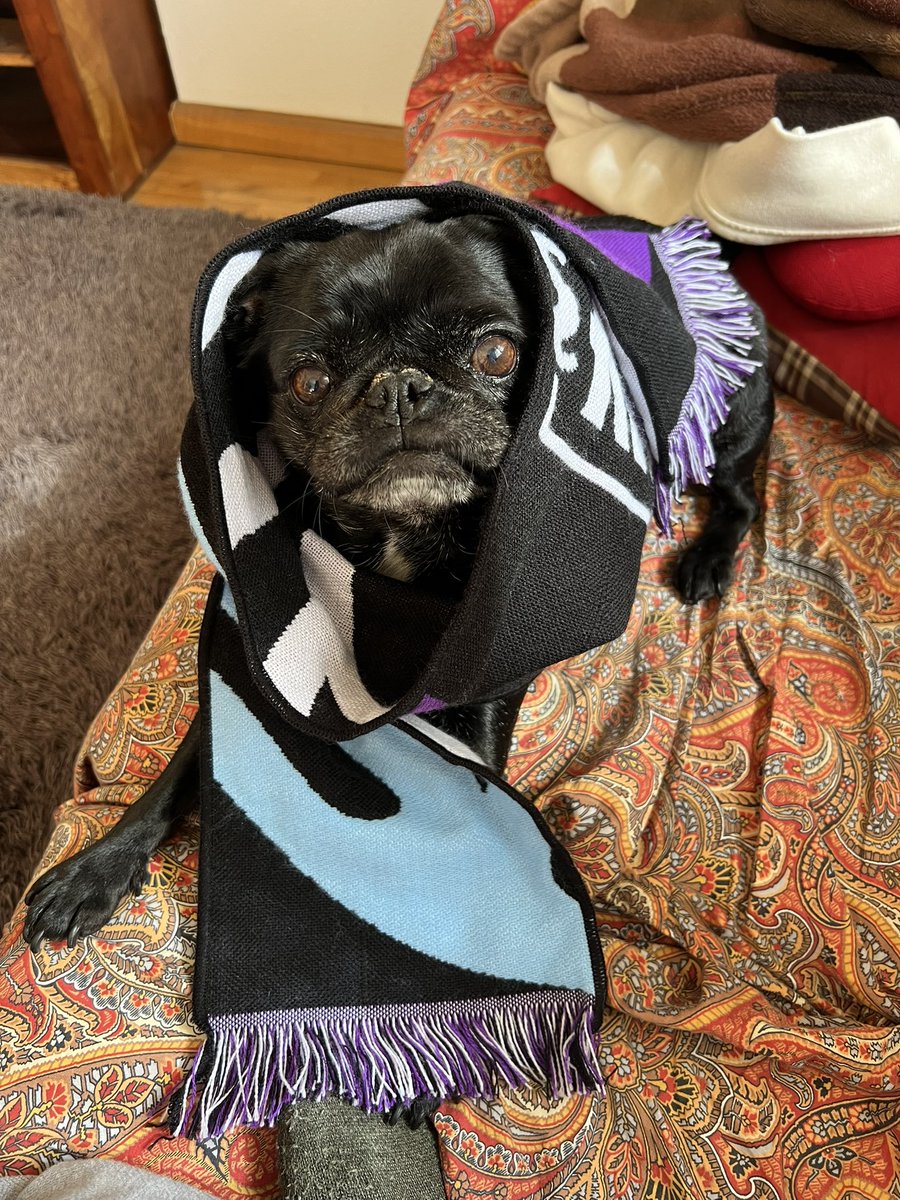 xeennm2's tweet photo. #MKOIWIN #MKOI #gameday #LEC Poppy sabe que hoy aseguramos Worlds!!💜💙 @MovistarKOI @MovistarKOILoL @KNekro @jaimemellado_ @KuentinLoL @Karchezzz @skain24 https://t.co/hIWlaTMsfb