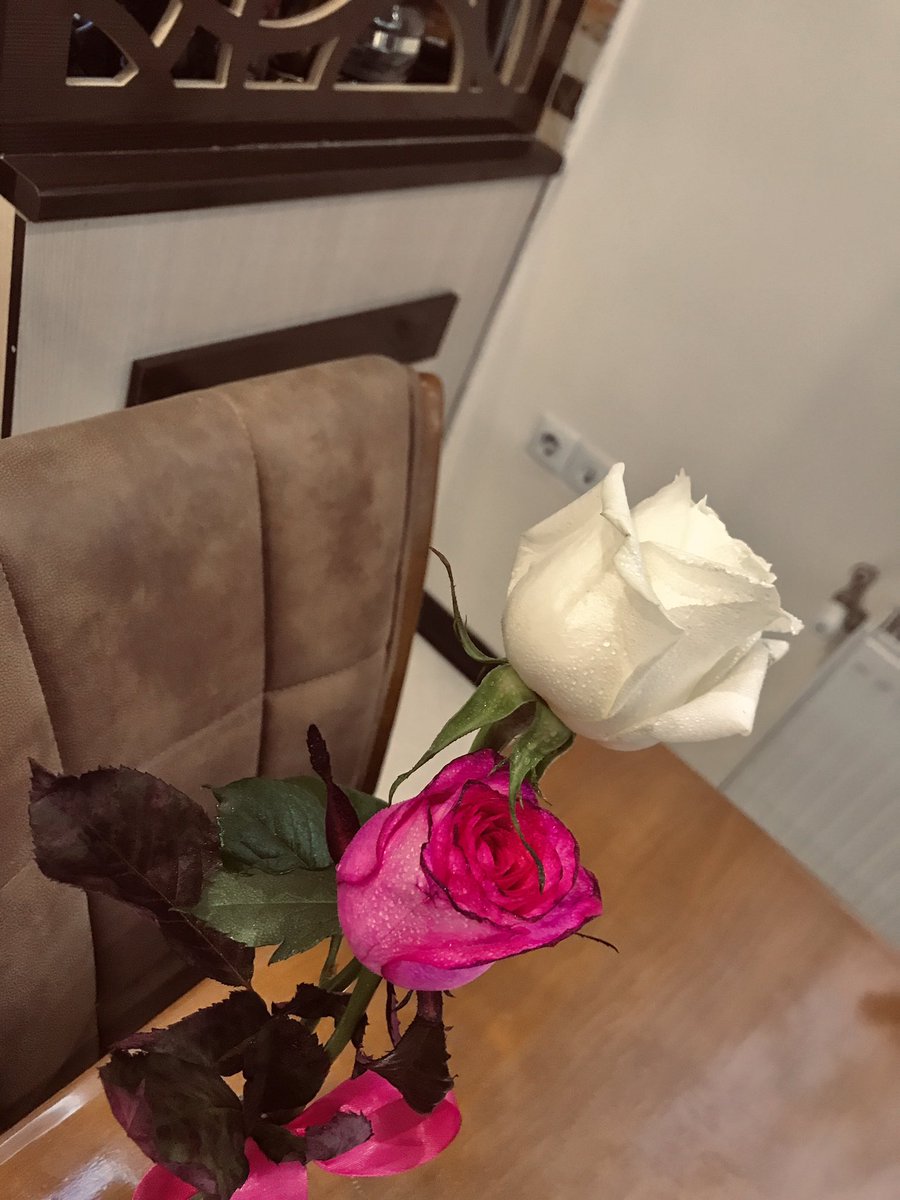 باترفلآی🦋 tweet media