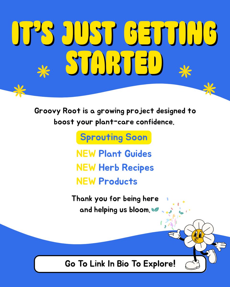 groovyrootco tweet picture