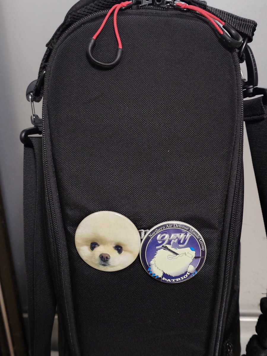 おもち🐻‍❄️と北部航空音楽隊🐻‍❄️
千歳のまちの航空祭でもらった👍️
似たもん同士の缶バッチ🤭

#ねねちーむ