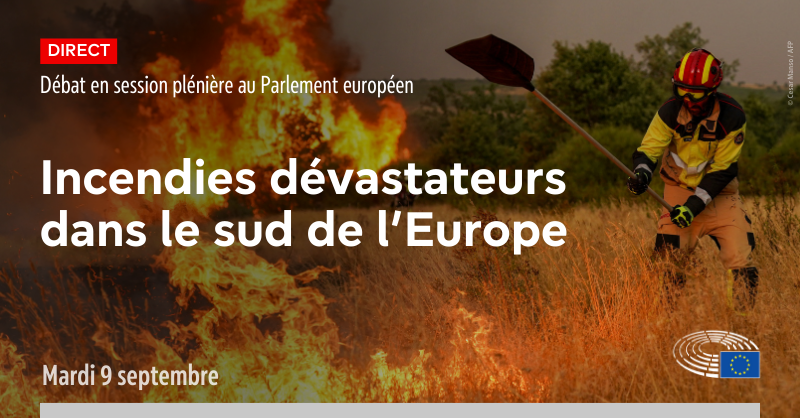 Europarl_FR's tweet image. Les députés débattront sur les #incendies dévastateurs dans le sud de l’#Europe et la nécessité de renforcer l’aide de l’#Union pour restaurer la perte massive de #forêts et améliorer la préparation de l’#UE.

📅9 sept.
⏰13H30
🔴 tinyurl.com/37ub2p3x