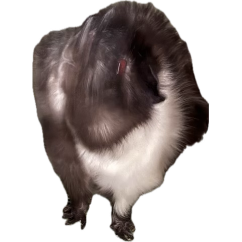 не продам гараж (@chushka_chepuha) on Twitter photo 