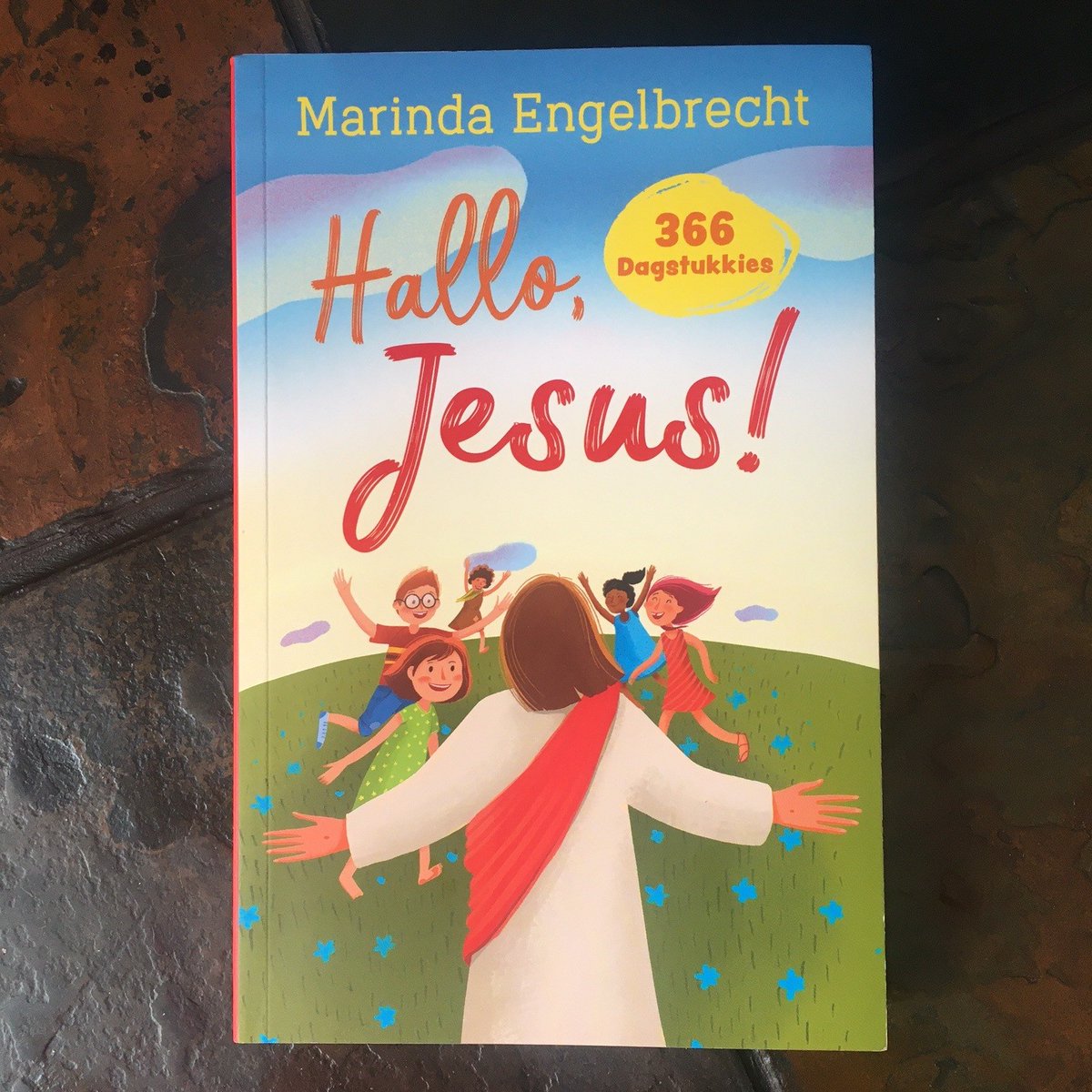 Perfekte kersgeskenk idee vir kinders onder 8jaar #marindaengelbrecht <a href="/luxverbi/">Lux Verbi</a> @NBPublishers #chaneleppan
