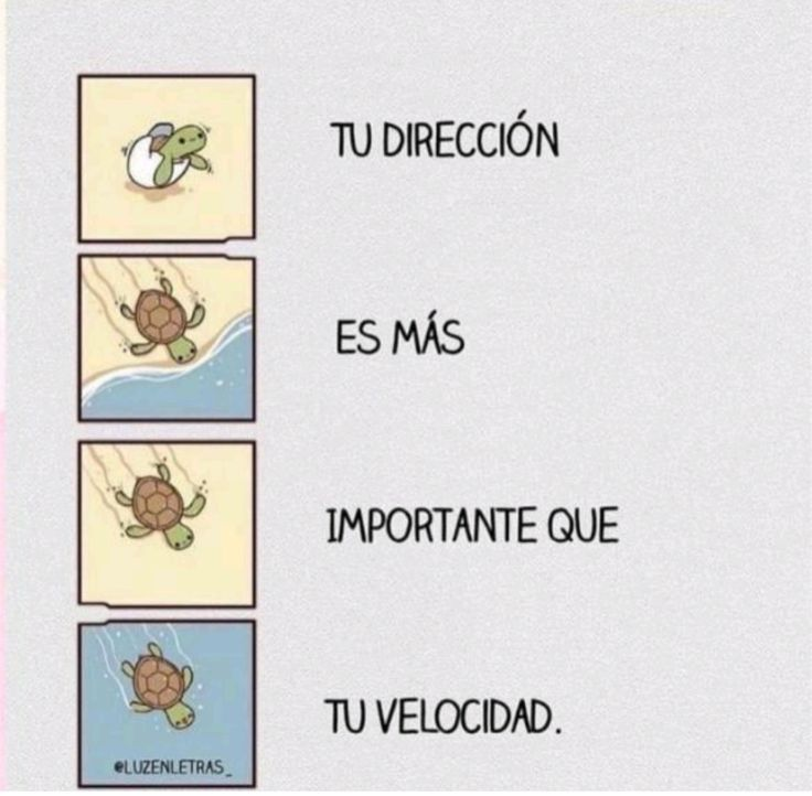 honordetigre's tweet photo. https://t.co/dPxWgaHcvk