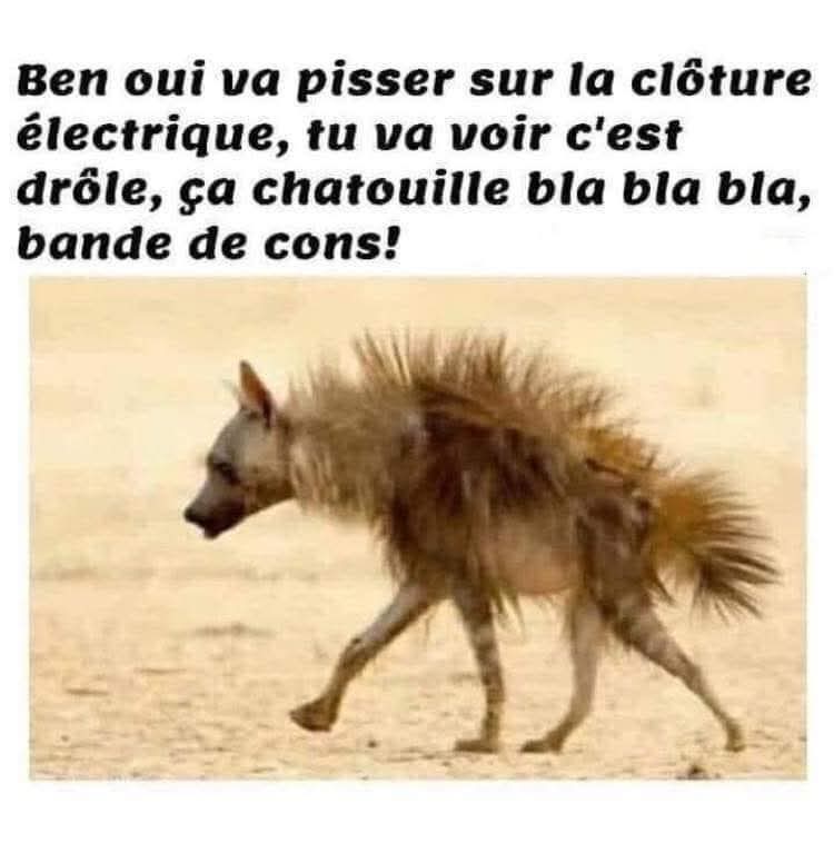 Des lois de la physique...