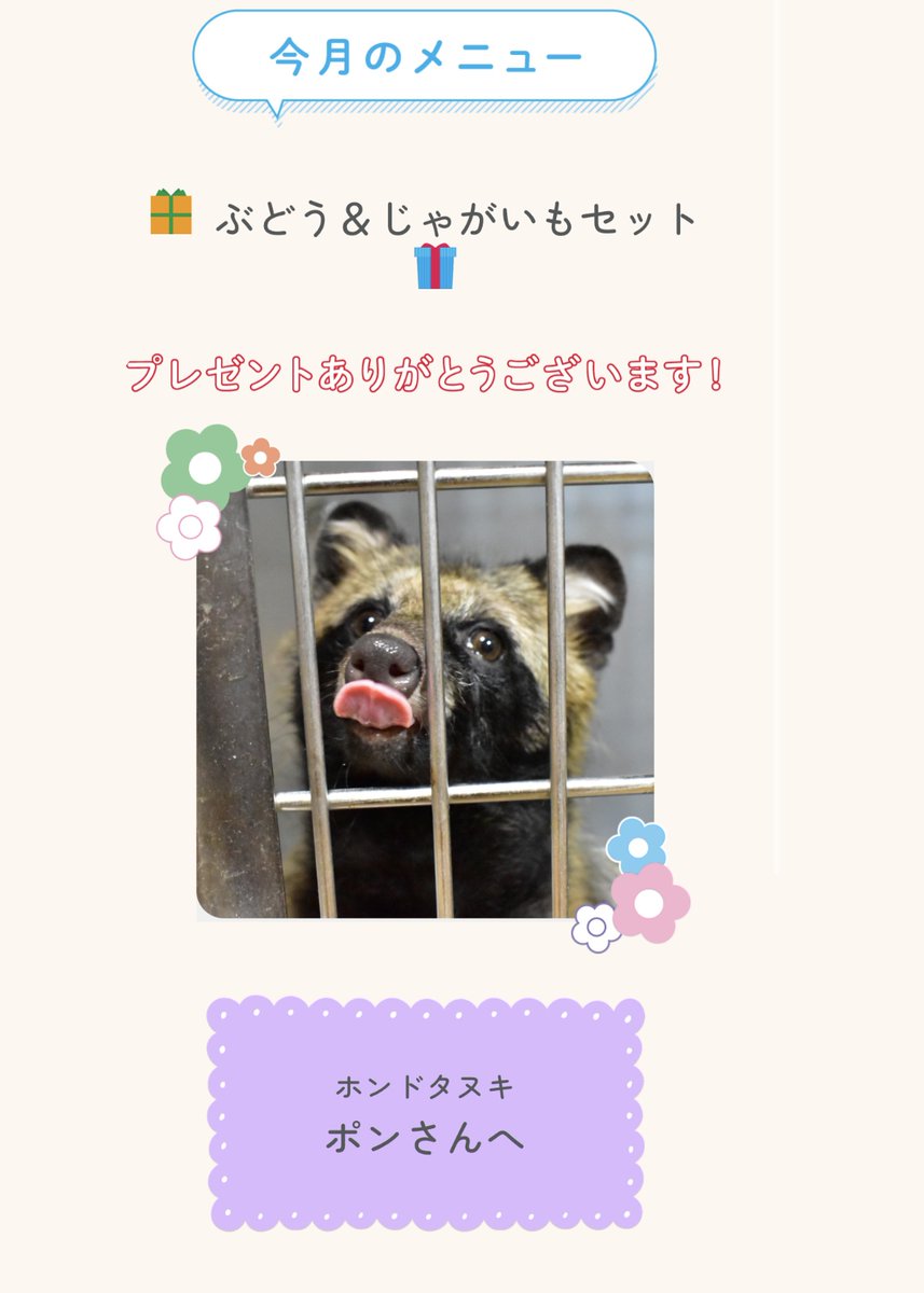 動物たちの応援サイト｜Hello!OHANA（ハローオハナ