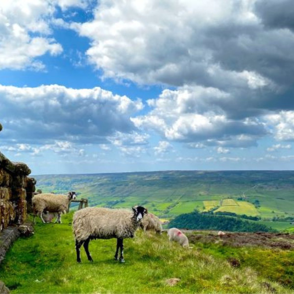 Our Mountain Goats travel further than just around the Lakes, create spectacular moments and memories on our small group tours. Taking visitors off the beaten track with knowledgeable and friendly driver-guides.
mountain-goat.com