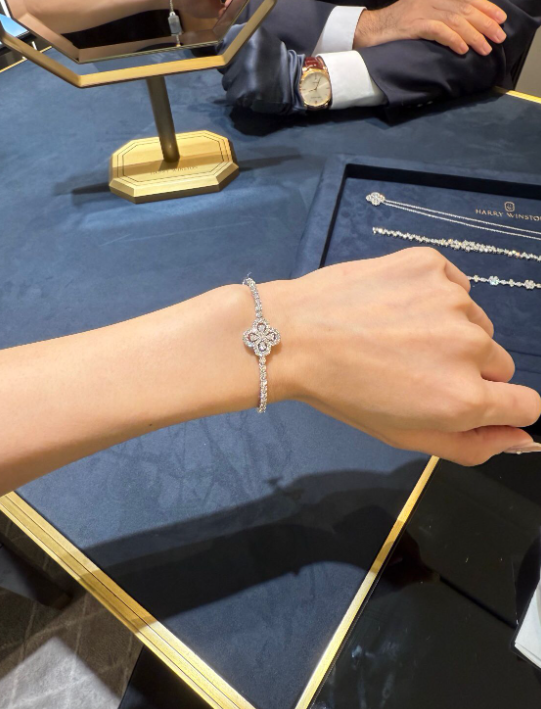 I heard Harry Winston is raising prices by 6% worldwide. Hurry up and get it! I think I'll save a lot!🤭🤭🤭