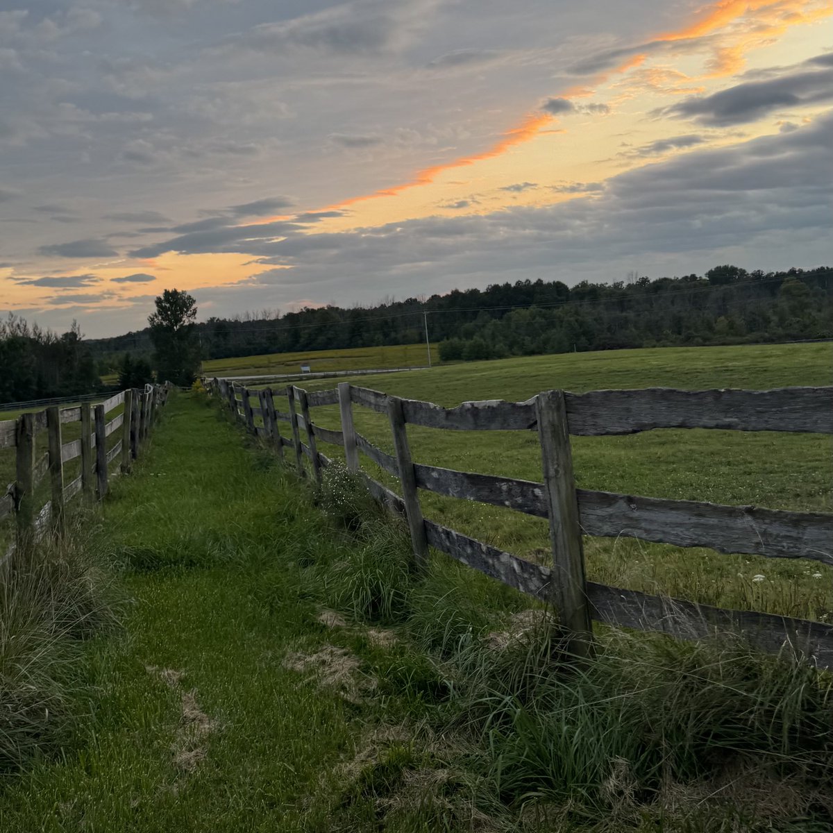 midnight&co (@midnightco1) on Twitter photo 