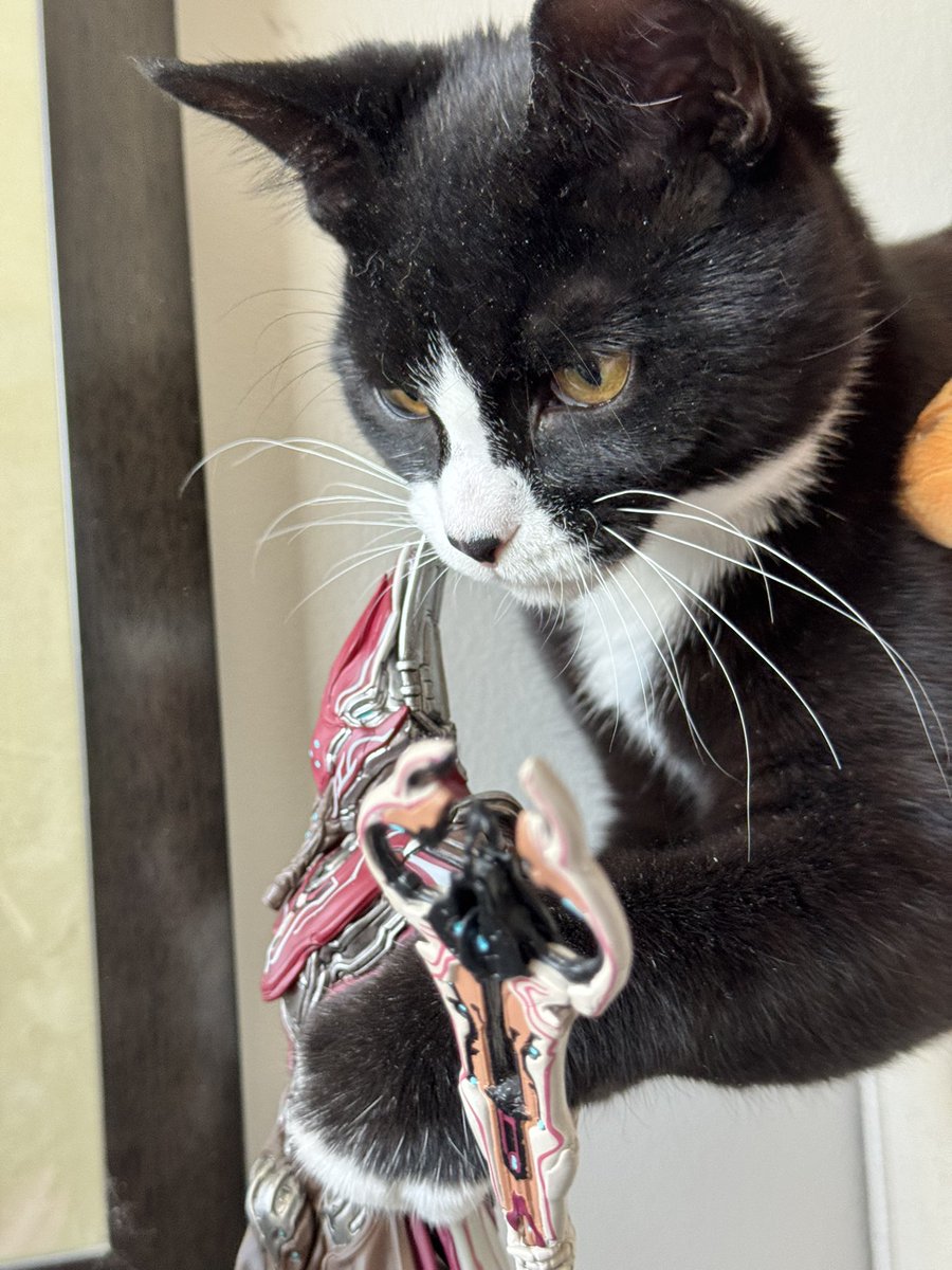 Has he not suffered enough?!