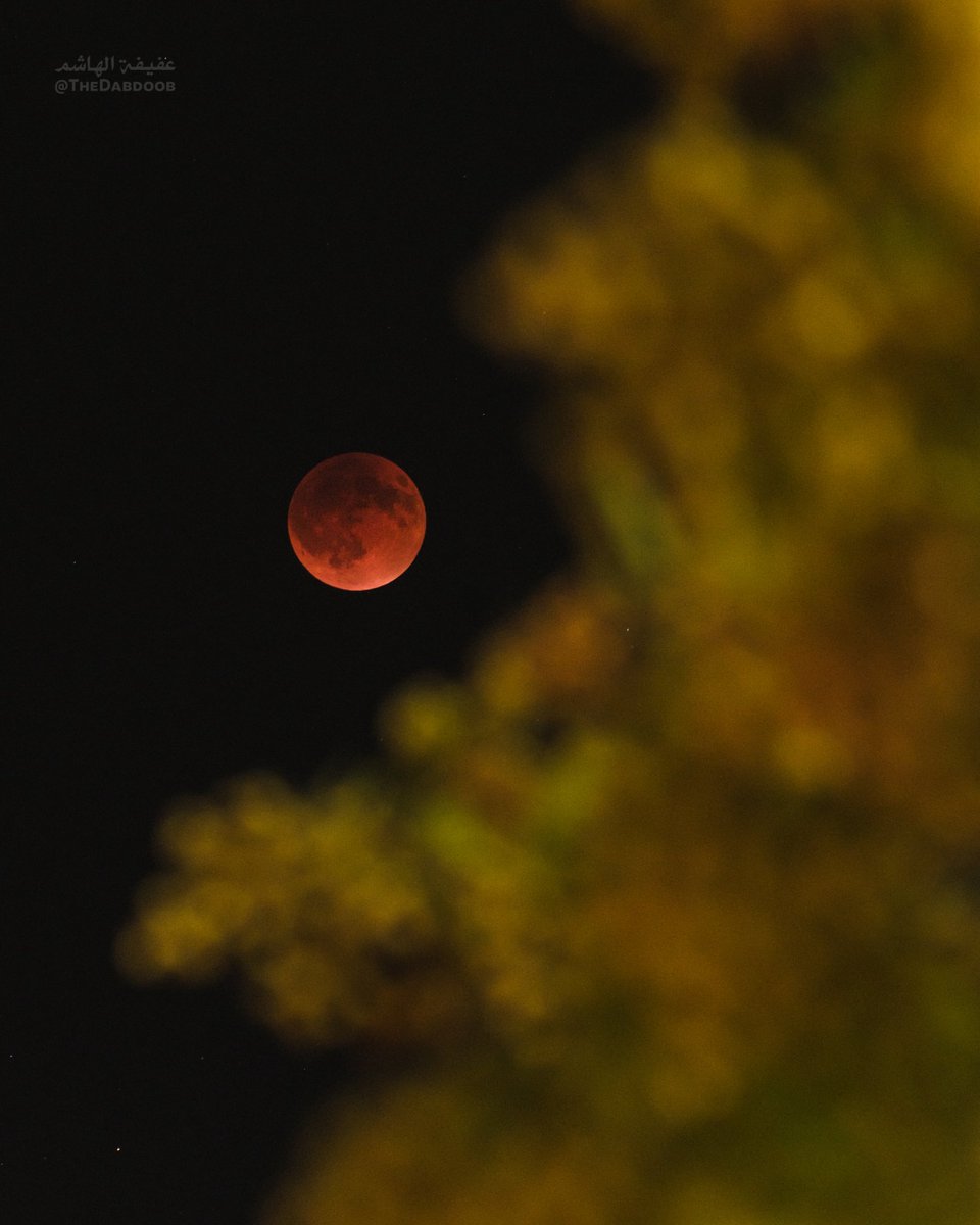 TheDabdoob's tweet photo. خُسوف القمر من سماء مطرح 🌘✨

#fullmoom
#Eclipse https://t.co/XsSzDF8OoA