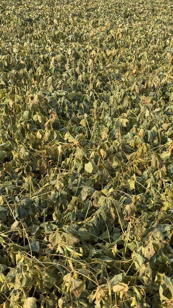 Qshizzle97's tweet image. Welp.