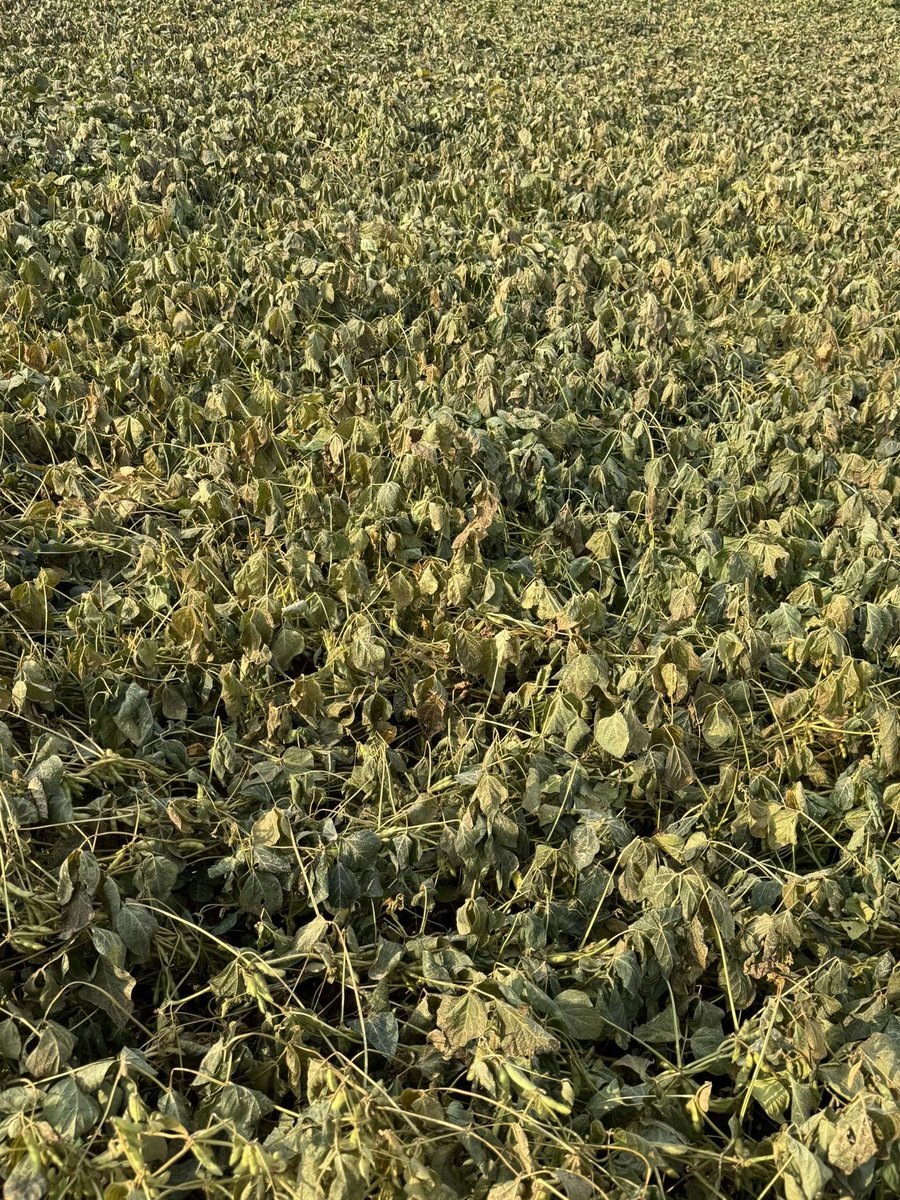 Qshizzle97's tweet image. Welp.