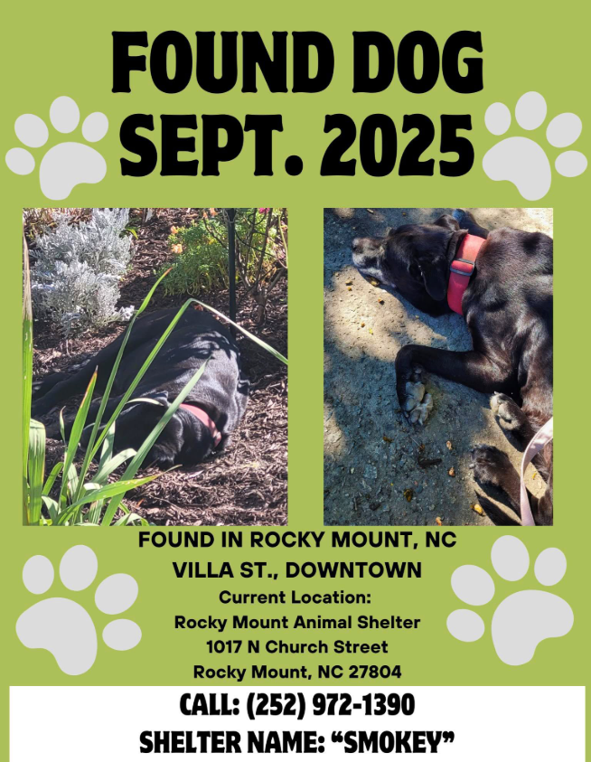 NMBewitched's tweet image. Bitch, pls 

So you were out walking your #Senior pup &amp;amp; he got tired. So he laid down to rest &amp;amp; you thought now is the time to abandon him? 

Or perhaps you just walked him out to the woods &amp;amp; let go of his leash, he exhausted himself trying to find you &amp;amp; home? 

Either way you…