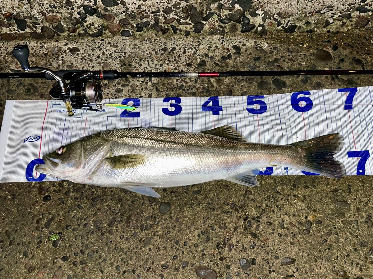 久しぶりのシーバス😁
久しぶりのメタルマスター🐟
久しぶりの釣り笑
