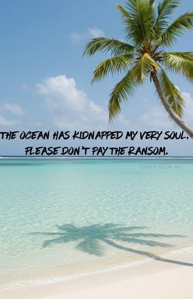 Mother Mother ocean ……