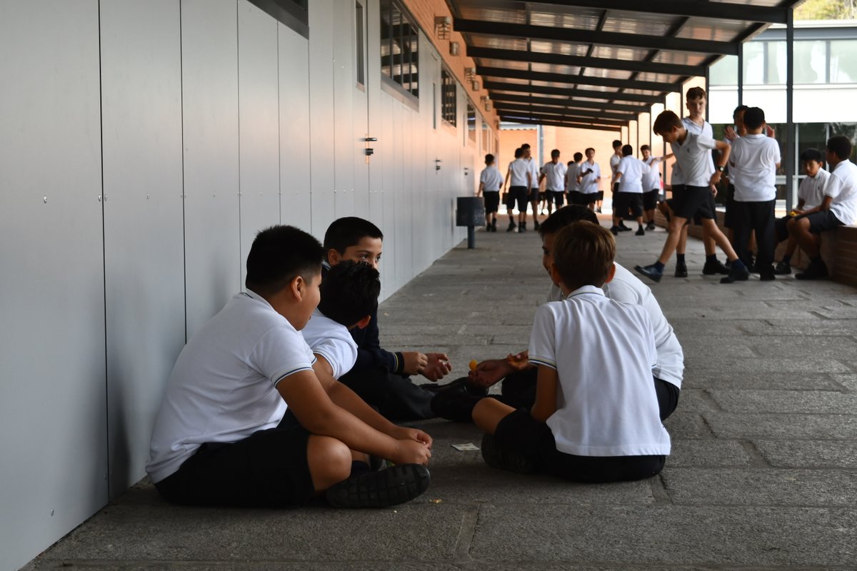 ¡Infantil y Primaria ya están de vuelta! 🎒✨
Empezamos el curso con ilusión y muchas ganas de aprender.
¡Bienvenidos, familias! 💛

#TajamarInicia #PrimerDíaDeCole #VueltaAlCole