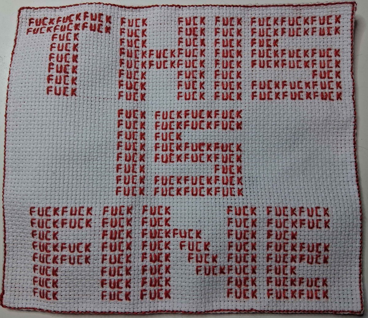Saw this #crossstitch meme and had to make one for myself. It now hangs in my kitchen. I stitched a border around it &amp; told a friend I had contained my f***s 😆