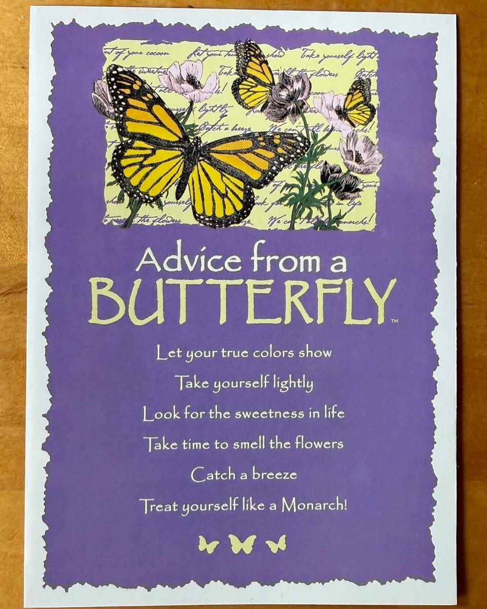 2lassies's tweet photo. @TheMuzicNation @aimeemann Happy Birthday Aimee!  This butterfly reminded me of you.  I hope your day is full of special moments. https://t.co/npjTmRl9e6