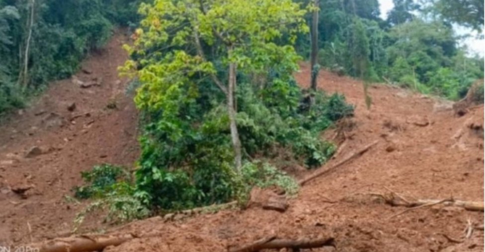 Mudslide destroys farmlands in Koya town in the Nemi chiefdom, Koinadugu district. The town is reeling from a devastating mudslide that follows 3 days of heavy downpour of rain. Leaving farming community's lifeline in tatters on 30/8/25.  Help is urgently needed