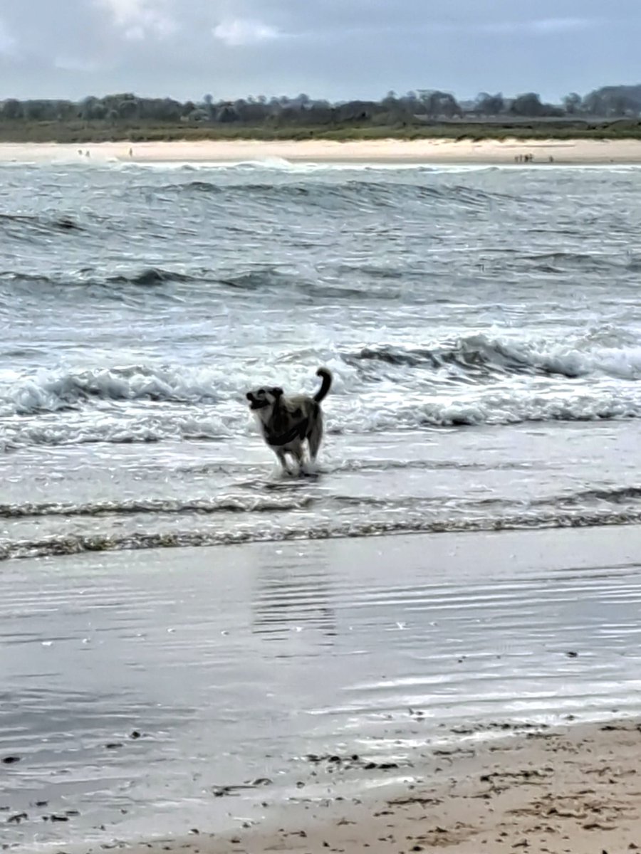 The Jackster missing Victordog1🌈🌈💔 tweet media