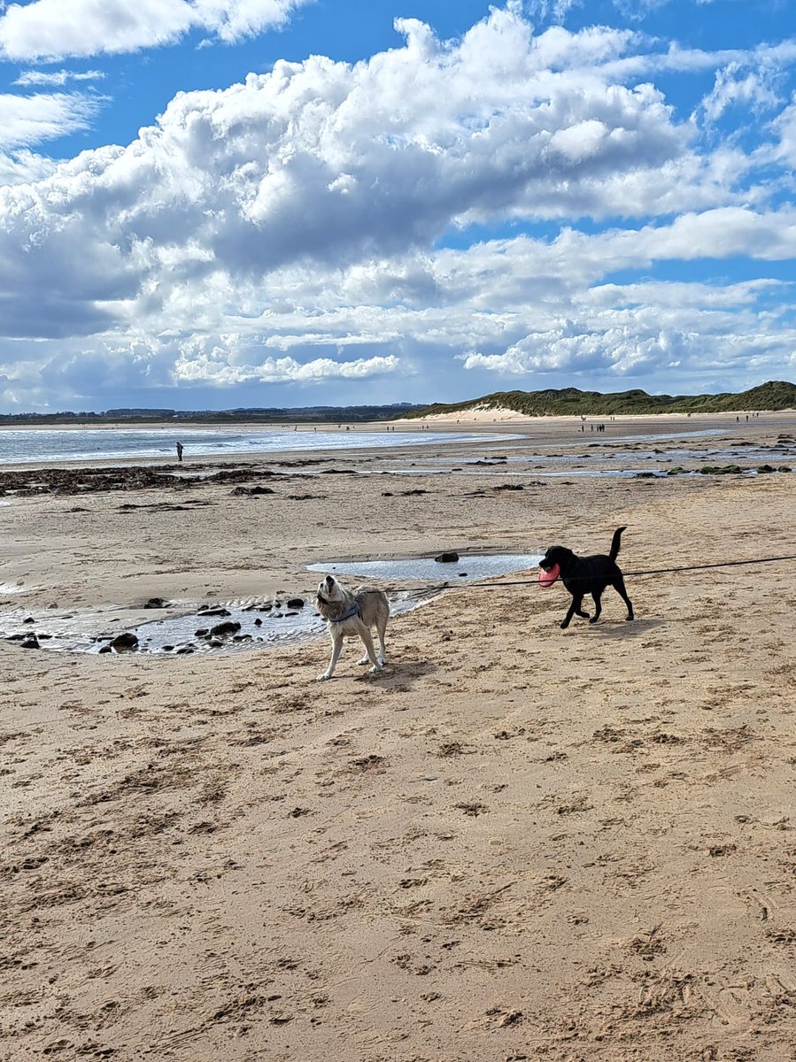 The Jackster missing Victordog1🌈🌈💔 tweet media