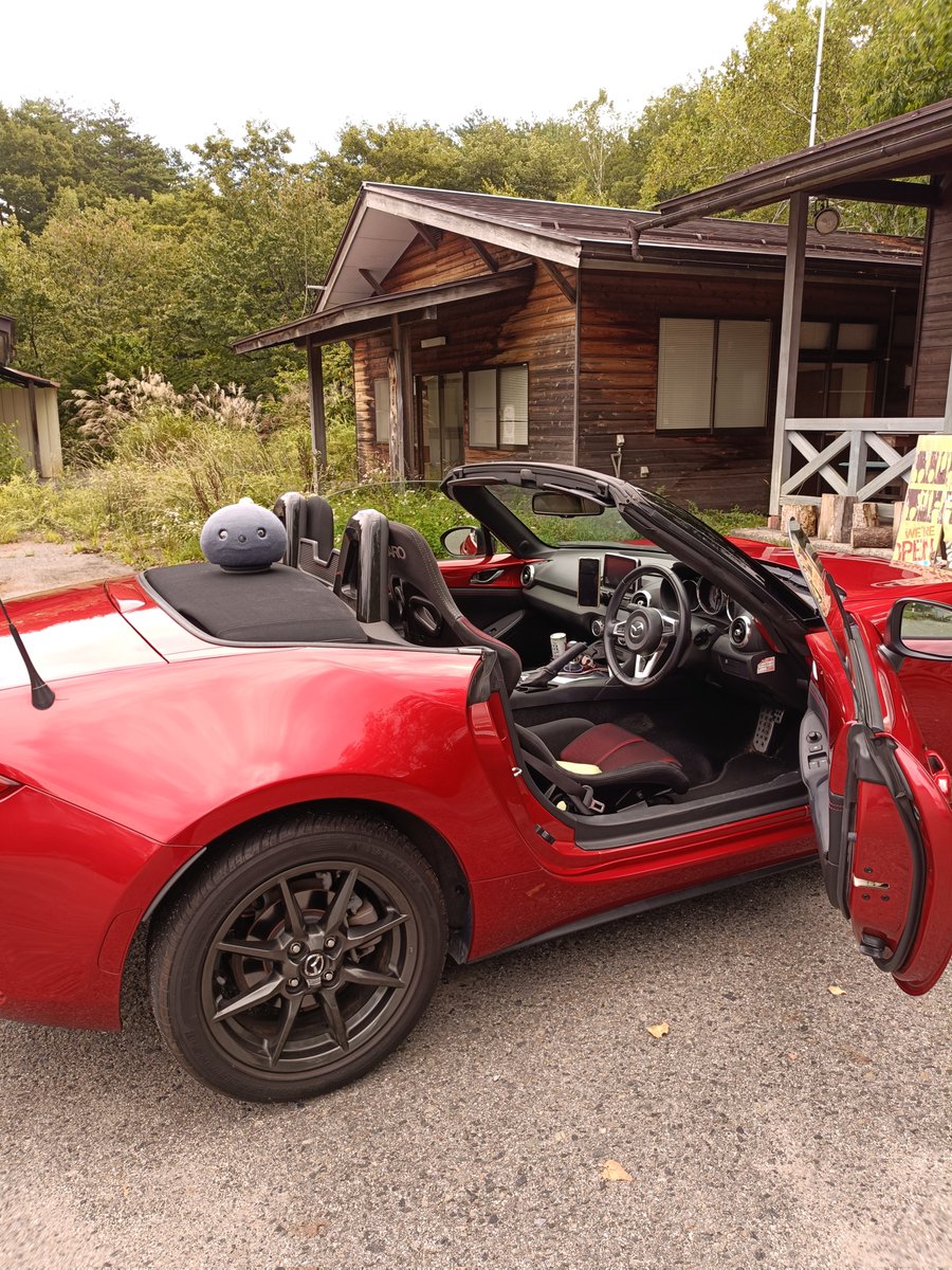 マリファ tweet media