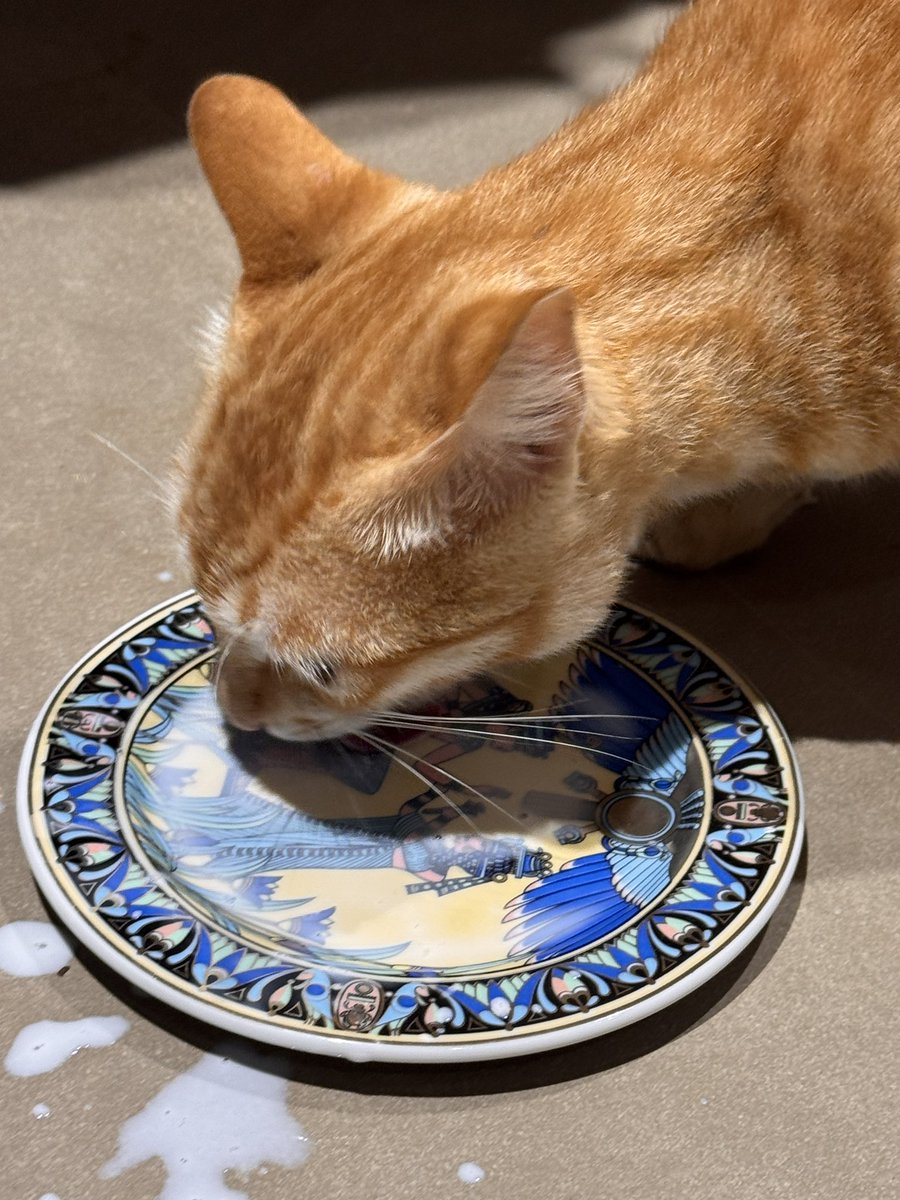 well … i finally used my special plate for the first time