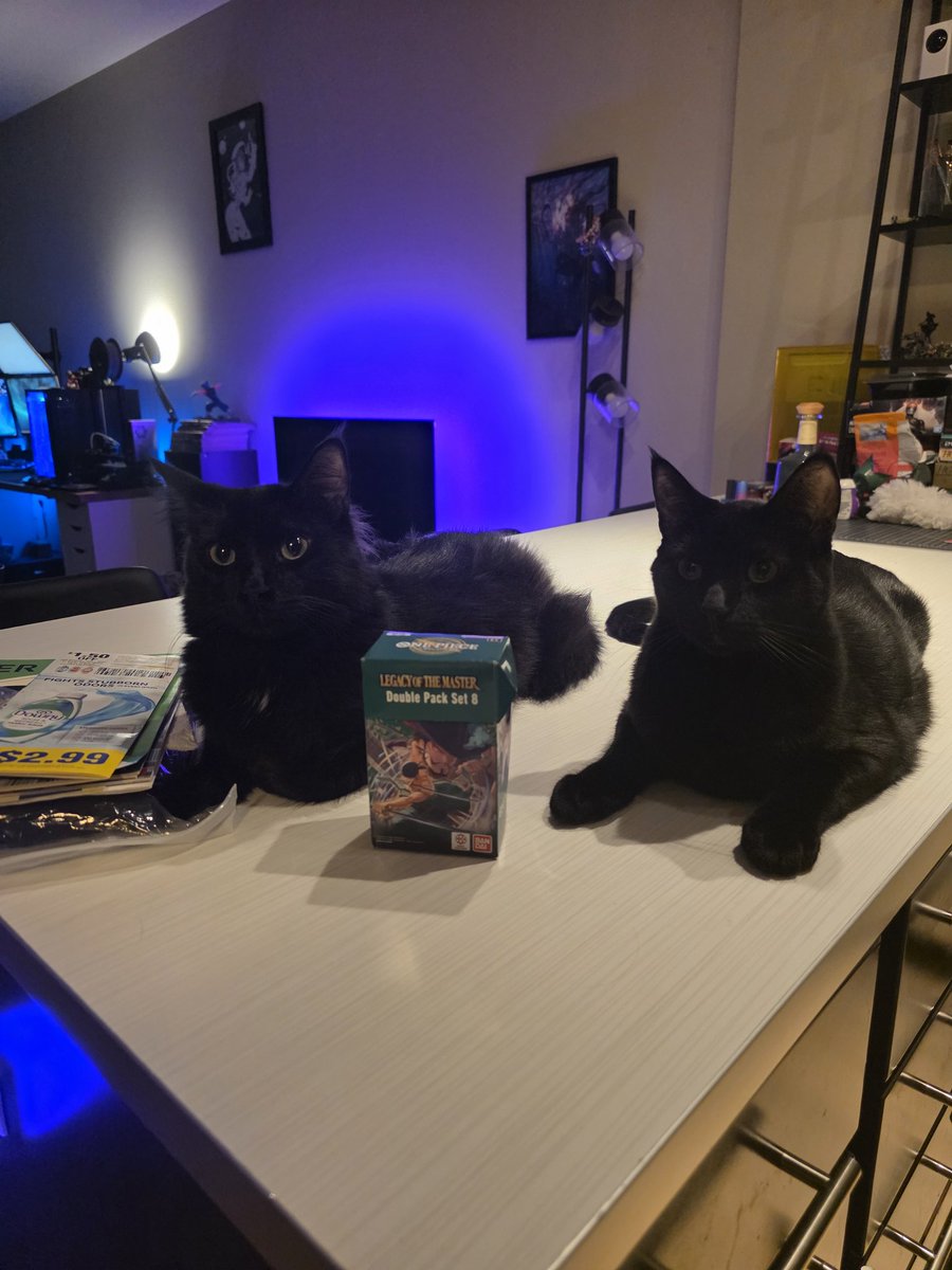 The guardians of the one piece.