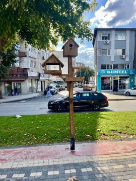 Sakarya’da Kuş Yuvaları Projesi Hayata Geçti