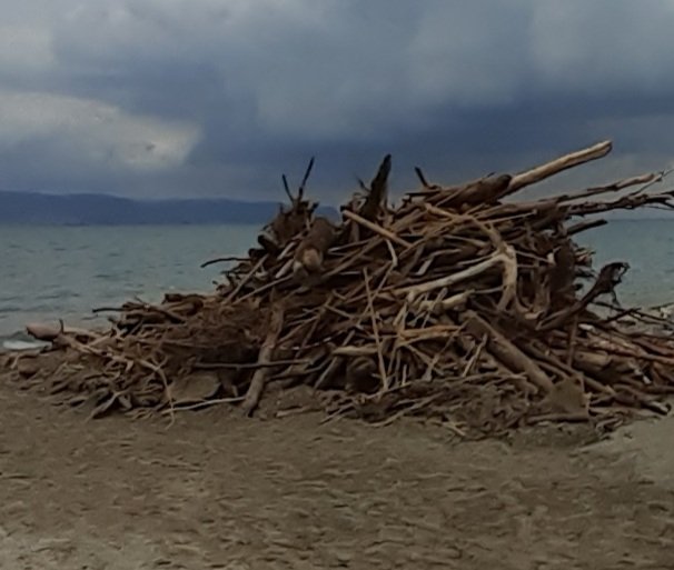 Stufo delle solite conchiglie, ho raccolto alcuni bastoncini  in arrivo dal mare...