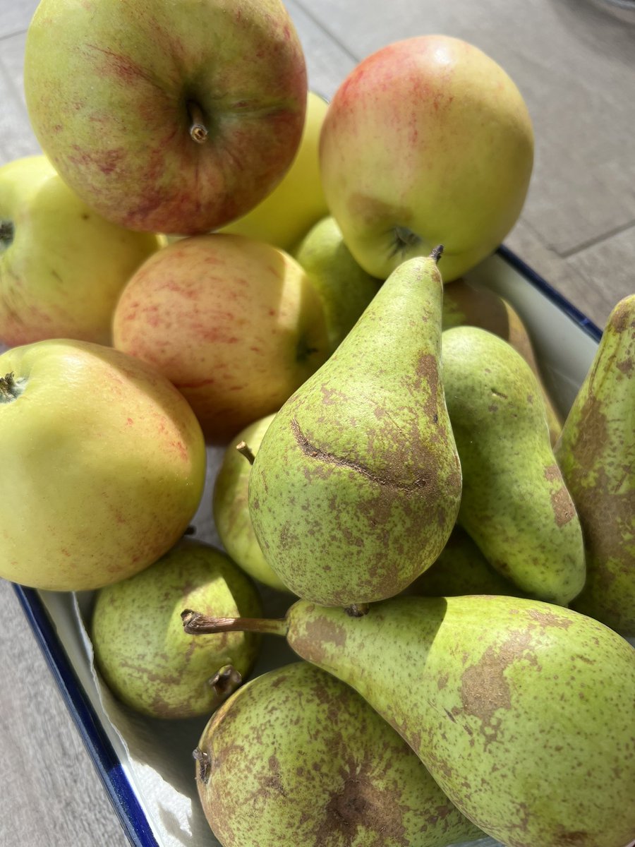 Love British food fortnight is fast approaching exciting times , here are some apples and pears left outside villagers houses for the community to help themselves  <a href="/LoveBritishFood/">Love British Food</a>