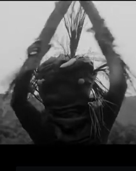 Are we having fun yet?