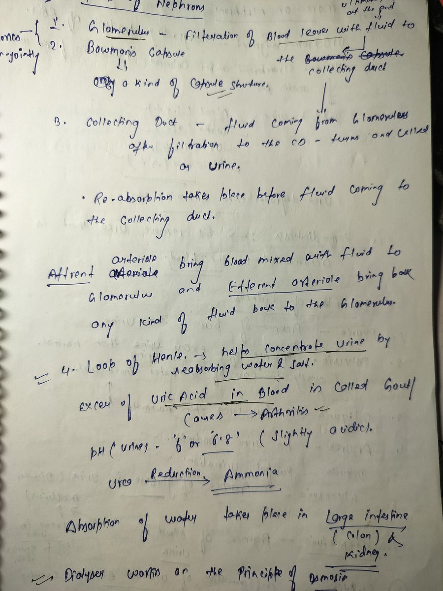UpscScreenshots's tweet image. Dear #BPSC aspirants.
 
I am sharing my notes of Excretory System. 

Quick Revision.