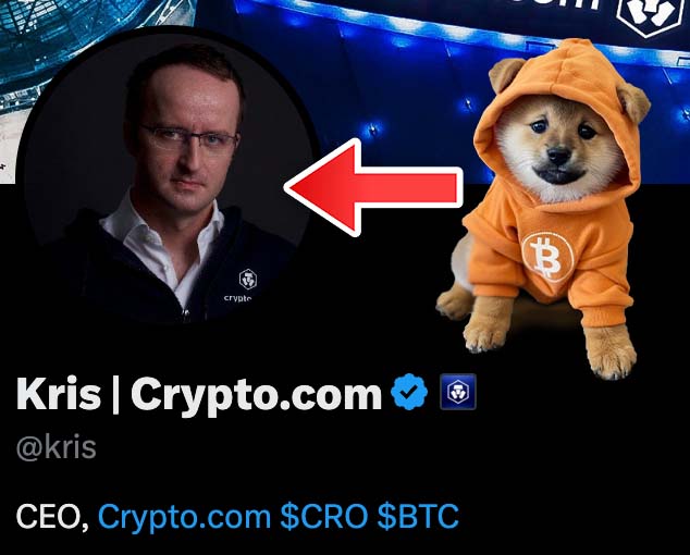 Vincent (Cryptolution) 👑 tweet media