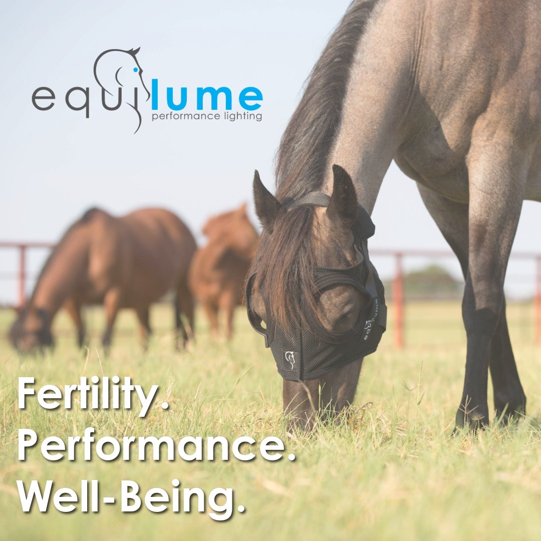 ✨ Fertility. Performance. Well-Being. ✨

Trusted worldwide, Equilume gives breeders, trainers, and riders the edge to maximize results.