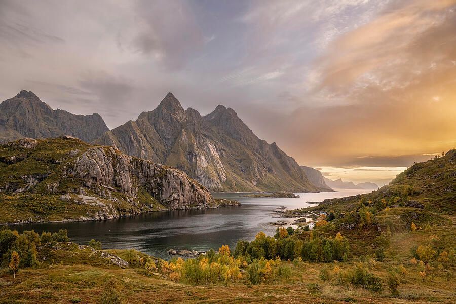 Joan Carroll tweet media