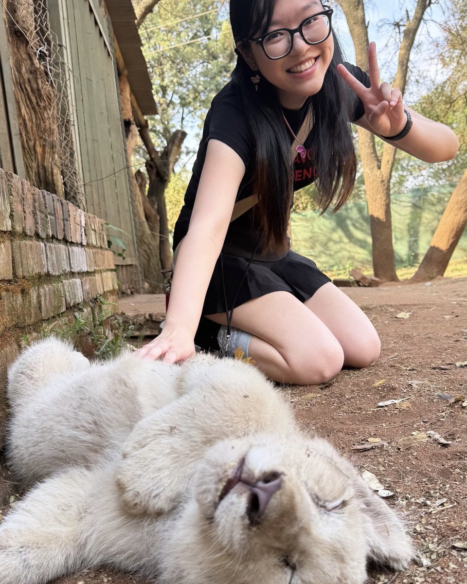 人生で初めてライオンと直接触れ合えました😍🥹

#南アフリカ