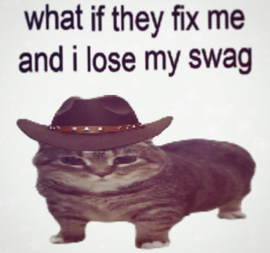 LiterallyMeCats (@literallymecats) on Twitter photo 