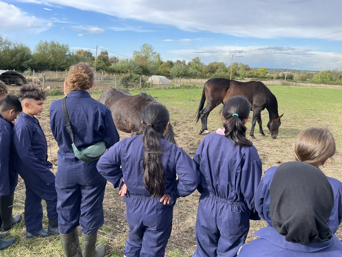Lots to see and do on the farm before tea time. The cows were very friendly!