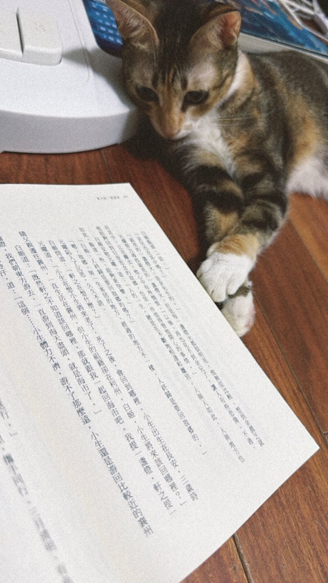 Coco ๛ก(ｰ̀ωｰ́ก) tweet media