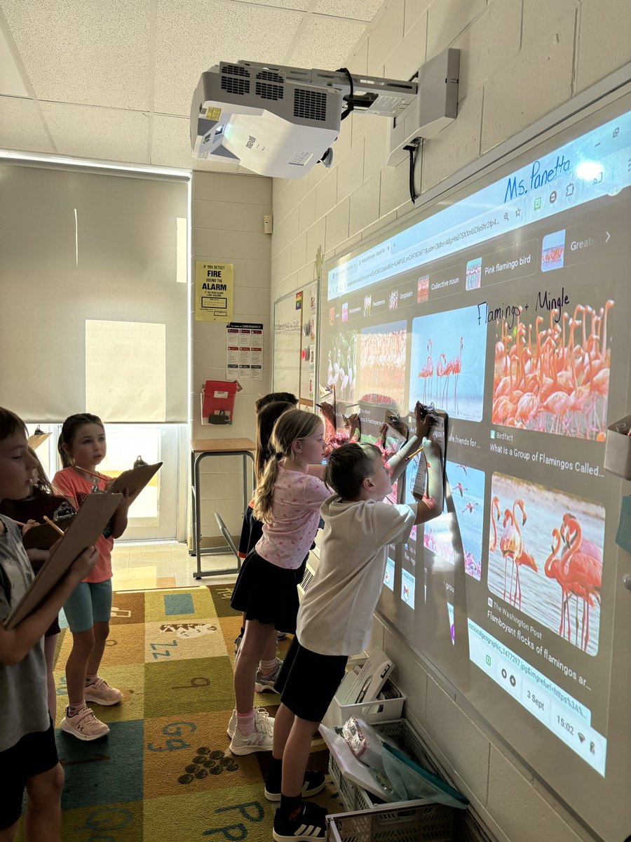 Ms. Panetta tweet media