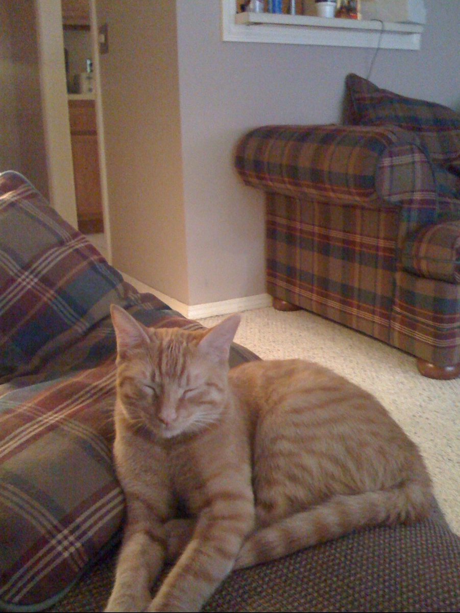 the chillwave enjoyer tweet media