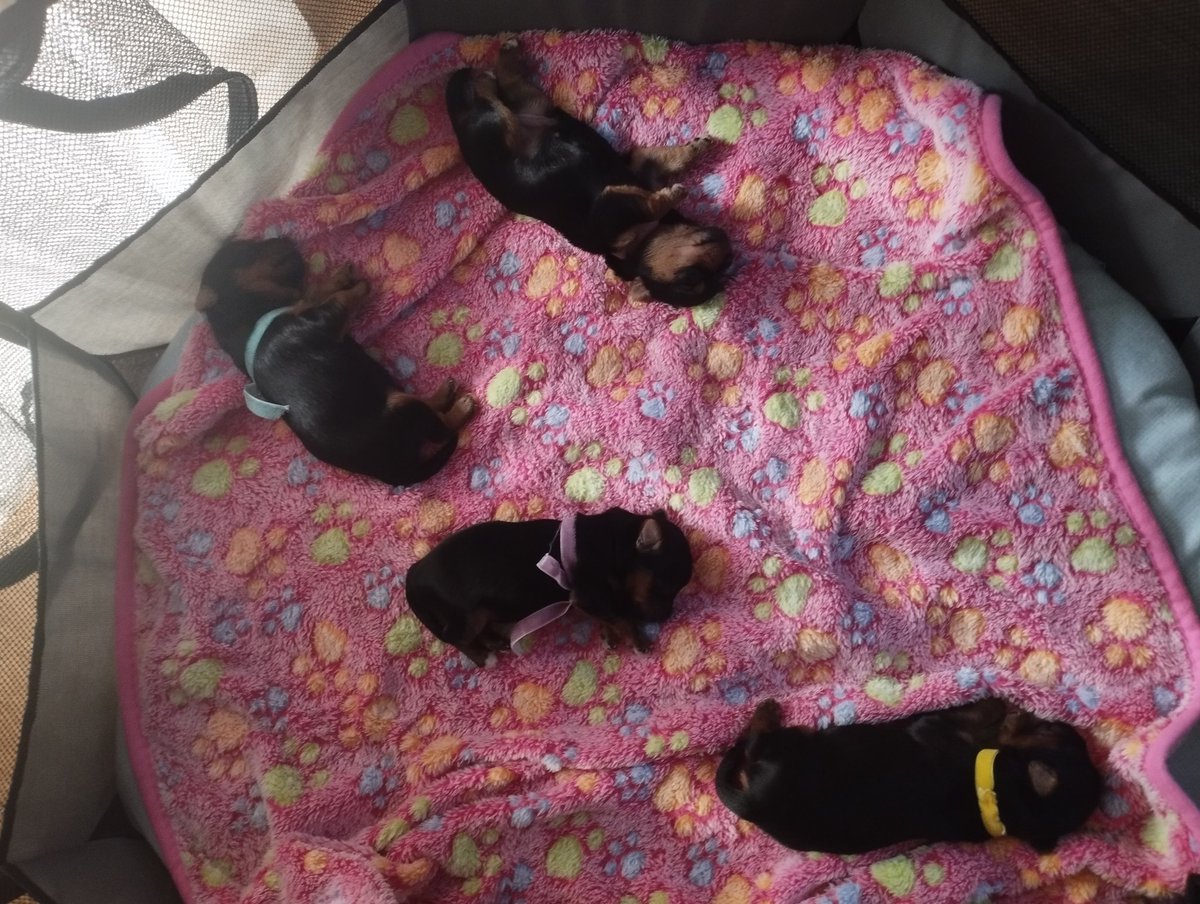Los pequeños de mí casa 😍