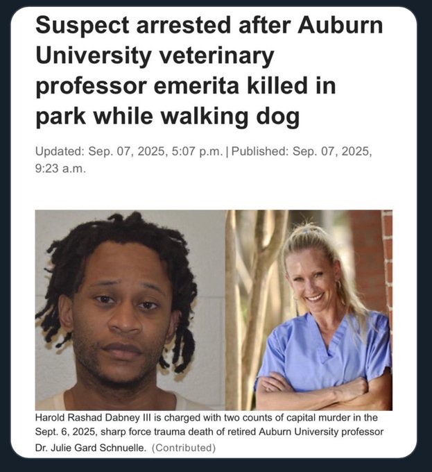 Contrarian Ω Researcher Think Tank 𓃵 ▫️◽ 🪽 tweet media