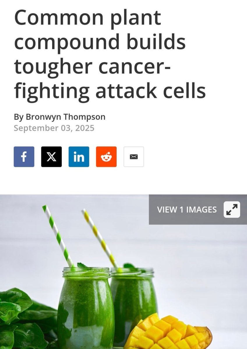 brainscoin_off's tweet photo. A cancer cell killer has been found—zeaxanthin, a pigment that gives foods their yellow color.

It is most abundant in leafy vegetables, orange peppers, corn, and mangoes. Zeaxanthin boosts the immune system, which is responsible for finding and destroying tumor cells. https://t.co/JgFuqseiC8
